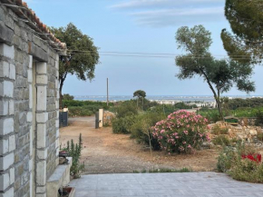 Mas en pierre au calme dans le vignoble au pied de la garrigue